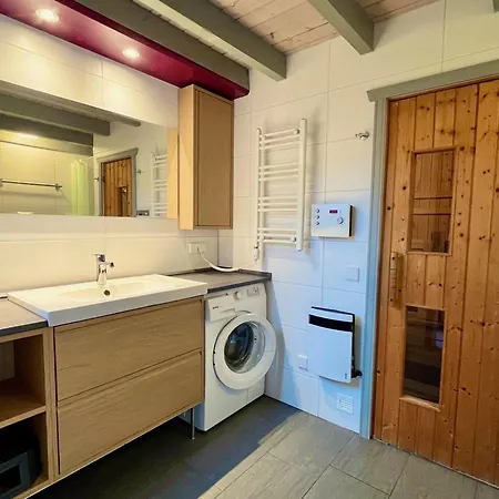 Wildgans 113 * Mirow